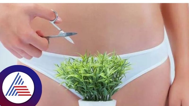 Know Why You Should Remove Your Pubic Hair In Summer And How