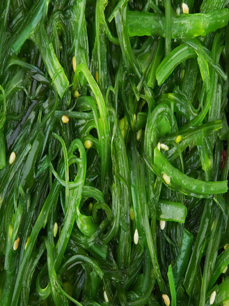 health benefits of seaweed 