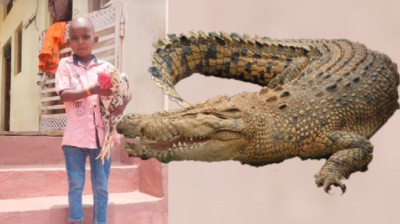 9-year-old boy killed in crocodile attack in krishna river at raichur rav