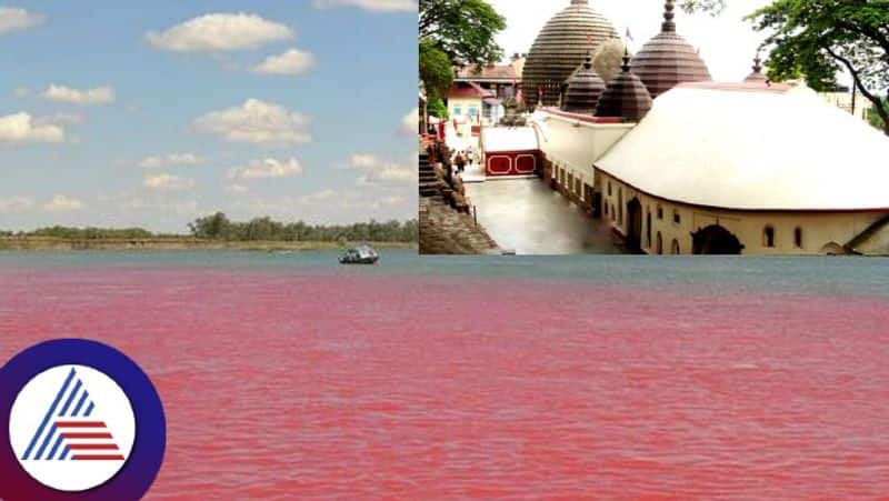 Brahmaputra river why turn color red for three days skr