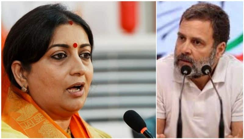 Who Is Sunita Viswanath And What is The Controversy Surrounding Her Meeting With Rahul Gandhi In US?