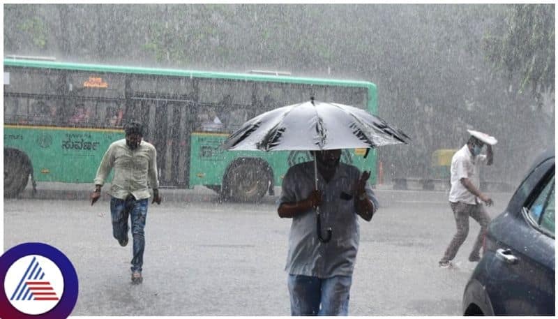 Heavy rain damages paddy  in  Telangana lns