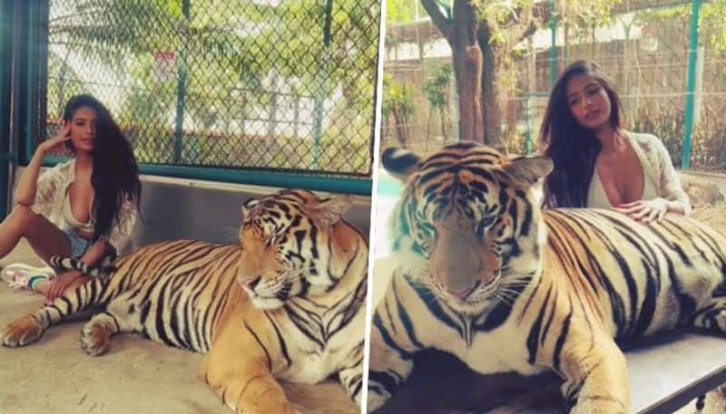 Poonam Pandey HOT Photos: Actress flaunts luscious cleavage in white striped bikini vma