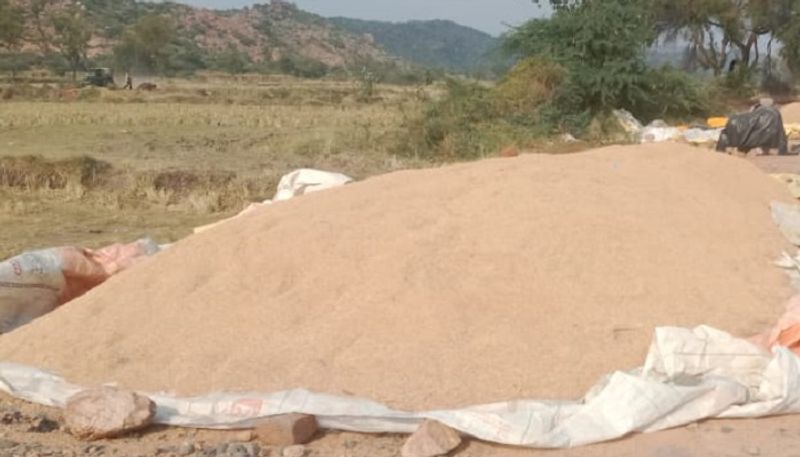 Farmers Faces Problems Due to Paddy Price Decline in Yadgir grg