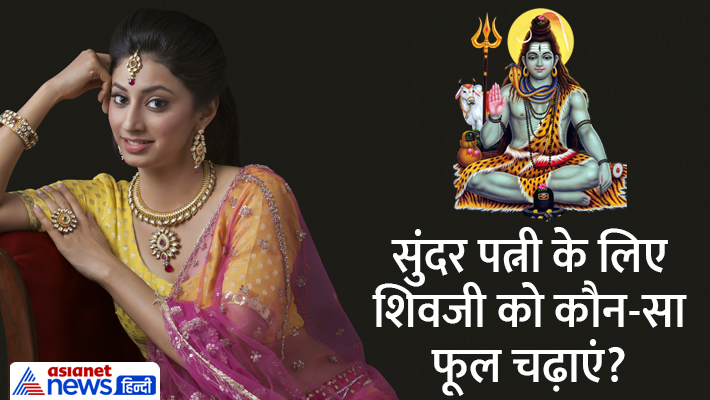 महेश नवमी के उपाय... महेश नवमी के उपाय...