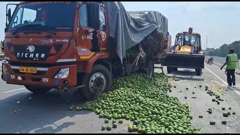 12 tonnes of mangoes spilled on the road near Hosur and damaged