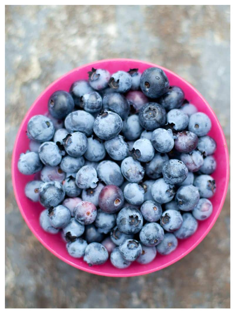 Amazing health benefits of eating Blueberries vkp