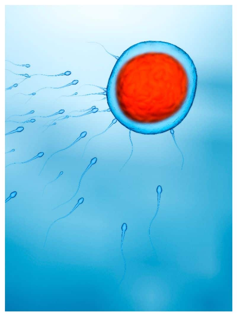 common causes of sperm count problems in men rse