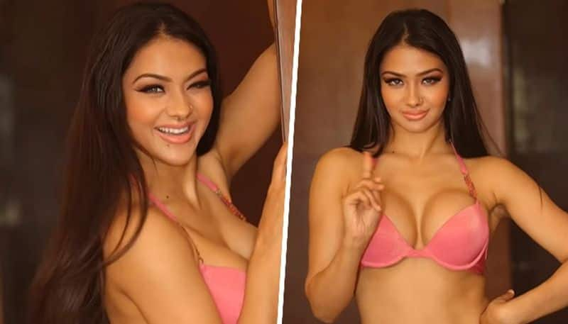 Namrata Malla HOT Photos: Bhojpuri actress sets Instagram ablaze with sexy moves in pink bikini vma