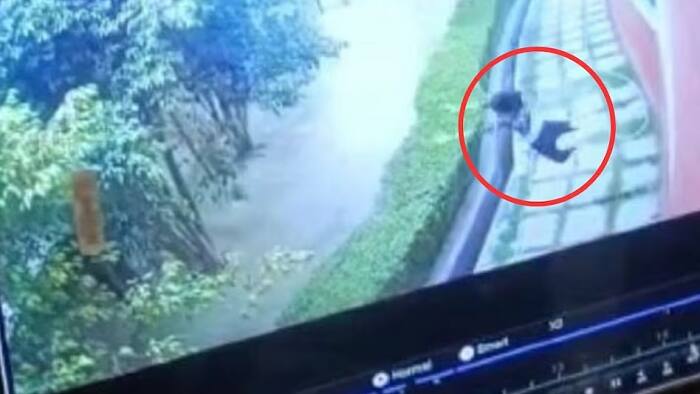 Ayodhya Student Accident 
