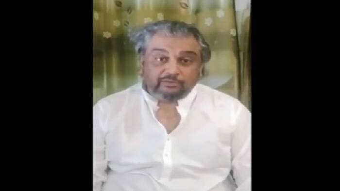 ali zaidi 