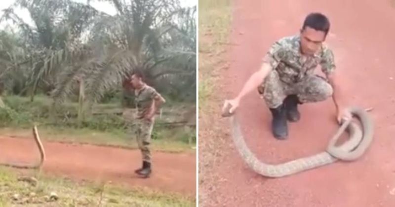 The person holding the giant snake in his bare hands.. Watch the video for yourself..