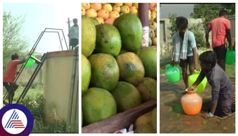 Lack of infrastructure hits Asia's largest Kolar mango market gow