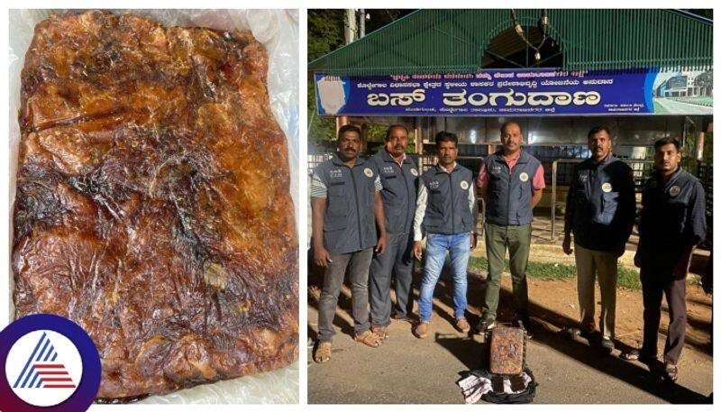 Ambergris smuggling  two arrested in chamarajanagara What is whale vomit gow