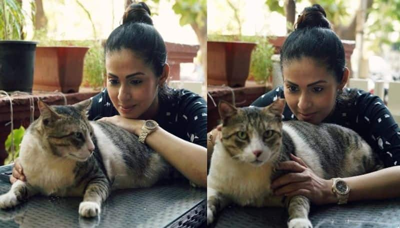 Actress Sadha  cute pics with her pet dog NSK