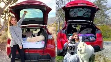 woman left home and living in a car with dog and cat rlp woman left home and living in a car with dog and cat rlp