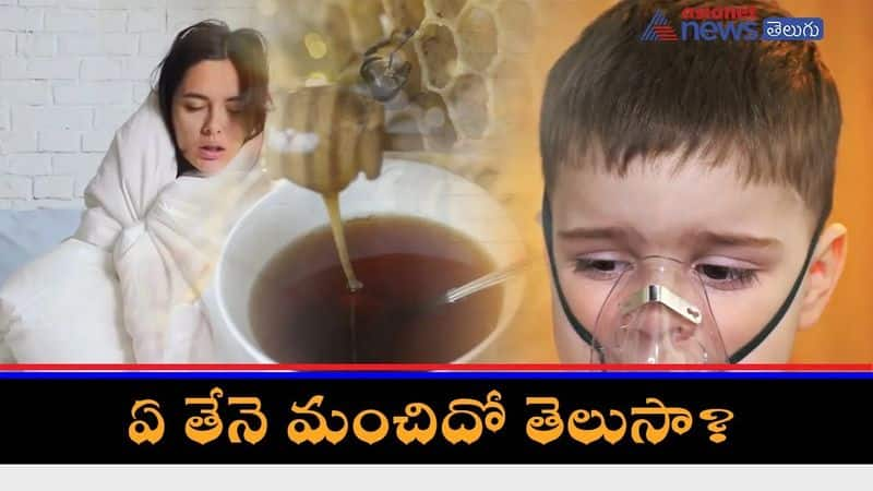 The Sweet Remedy: Honey's Effectiveness in Soothing Cold and Cough Symptoms