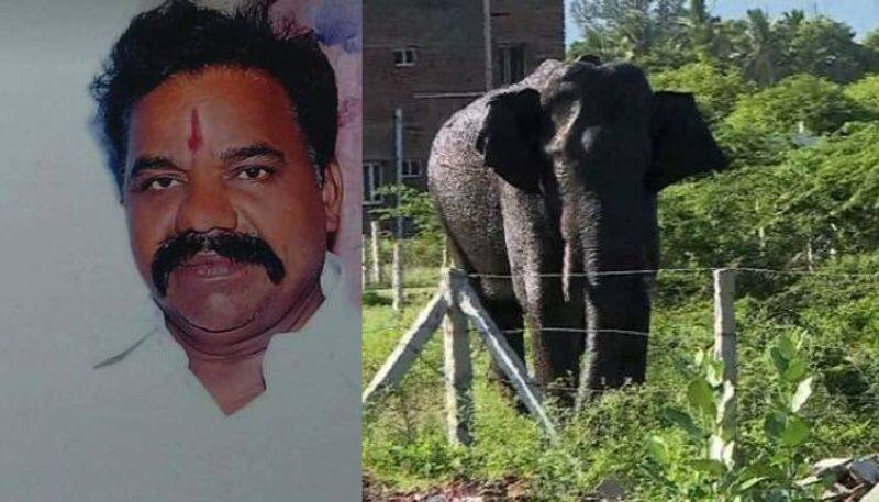 Rs 5 lakh compensation for the family of the guard who died after being attacked by a arikomban elephant