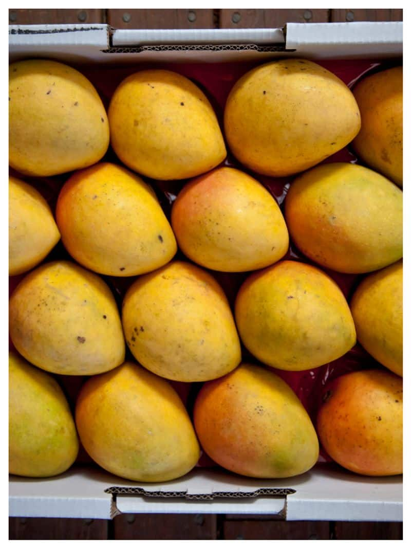 health benefits of eating mango rse 