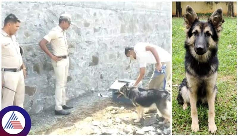 Police dog Ruby found the money box stolen by thieves in Vijayapura sat