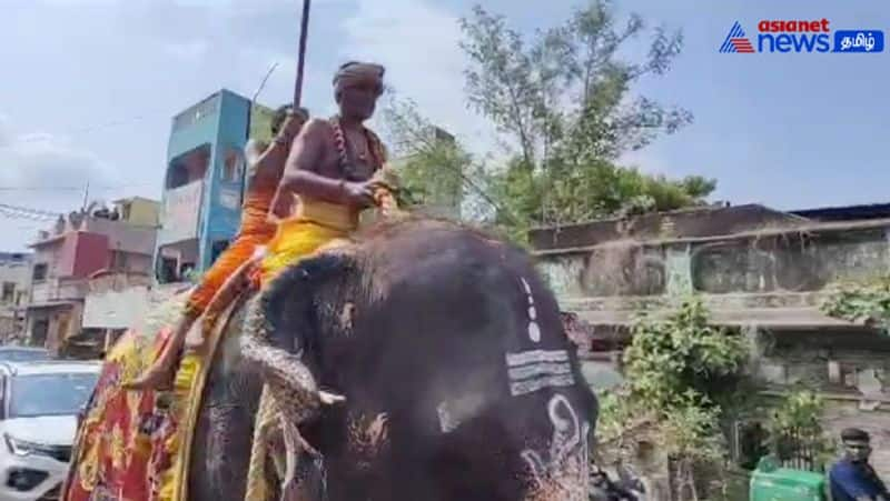 Ariyalur Arunthava Nayaki Udanurai Temple Kudamuzku! Holy water brought in a procession on an elephant!