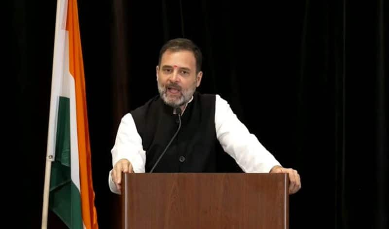 Mahatma Gandhi, Nehru, Ambedkar, Subhash Chandra Bose Were All NRIs: Rahul Gandhi