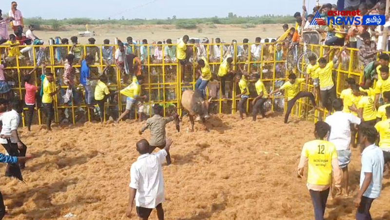 Jallikattu kicks off in Tamil Nadu's Madurai, 36 including a sub-inspector injured lns