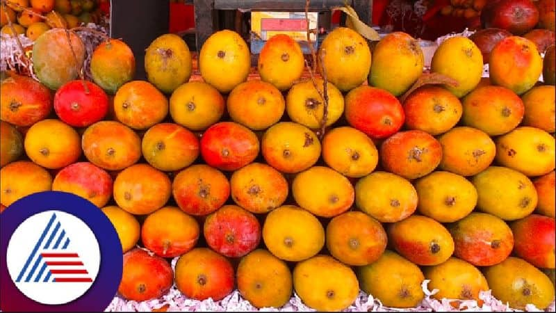 Although the price of mangoes is high, consumers are ready to buy in Chikkamagalur rav