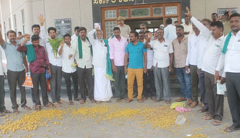 Farmers protest demanding purchase of turmeric at Chamarajanagar gvd