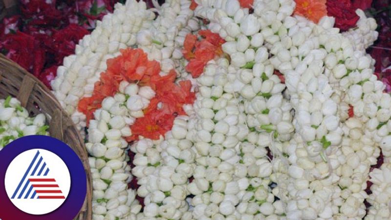 Jasmine prices fall Growers and traders panic at karkal rav