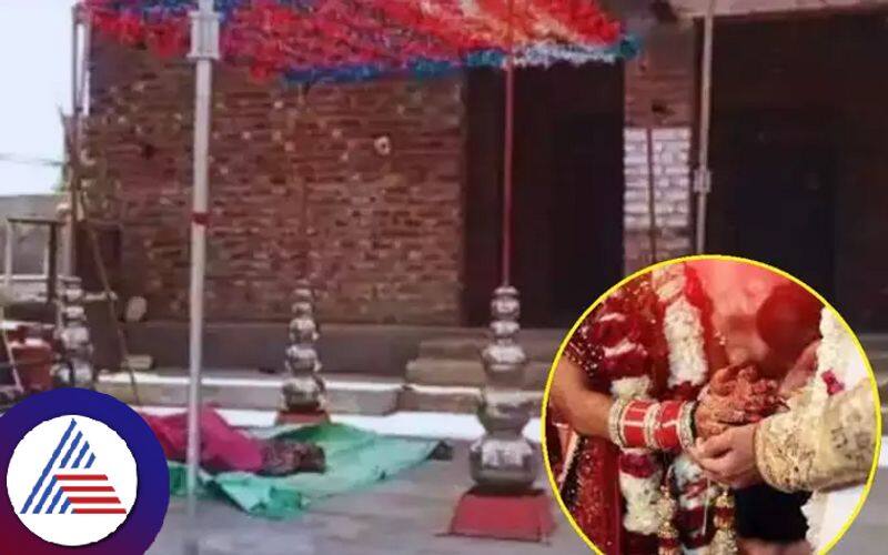 Rajasthan Groom Wins Back Runaway Bride After Waiting 13 Days at Mandap Vin