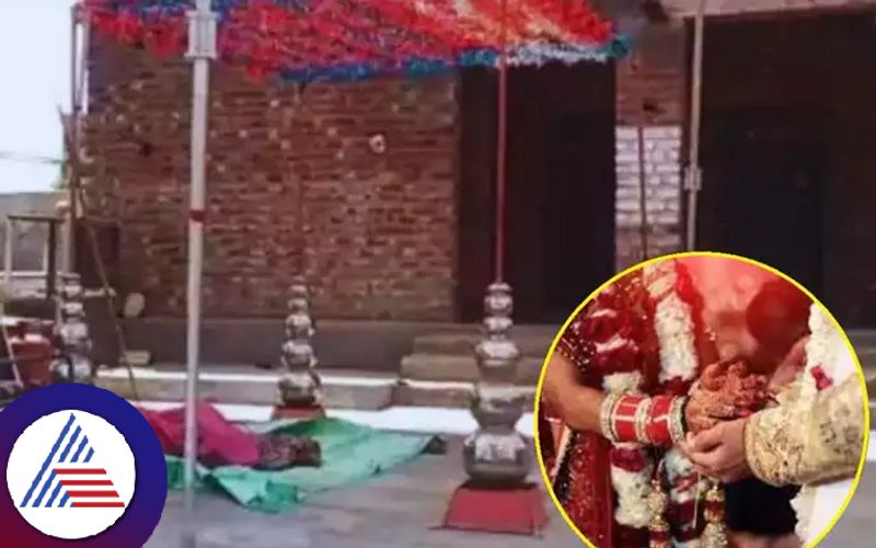 Rajasthan Groom Wins Back Runaway Bride After Waiting 13 Days at Mandap Vin