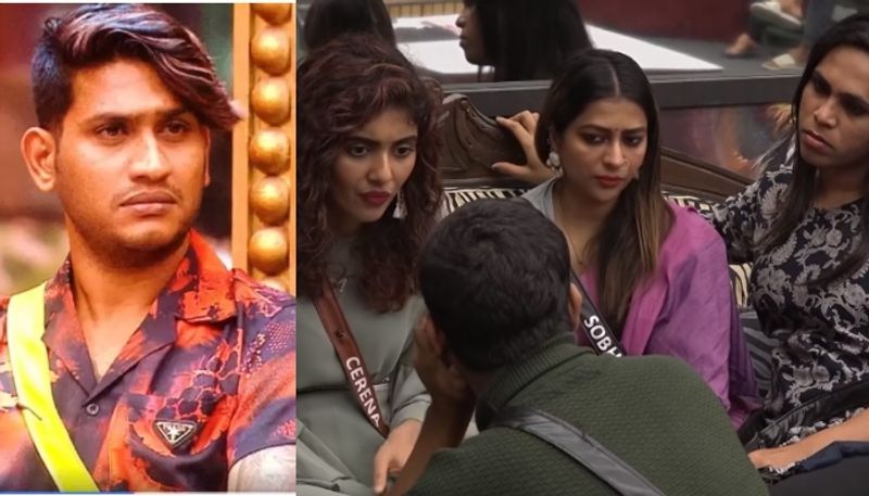 cereena conversation against akhil marar in bigg boss malayalam season 5 nrn 