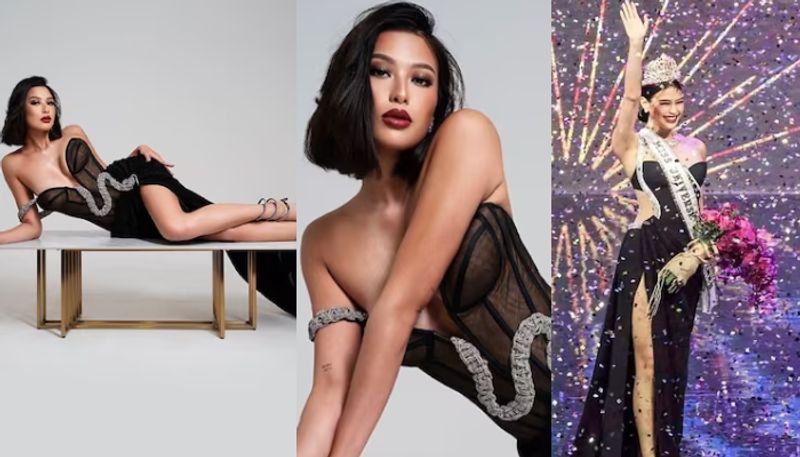 Miss Universe Philippines Michelle Dee comes out as bisexual azn 