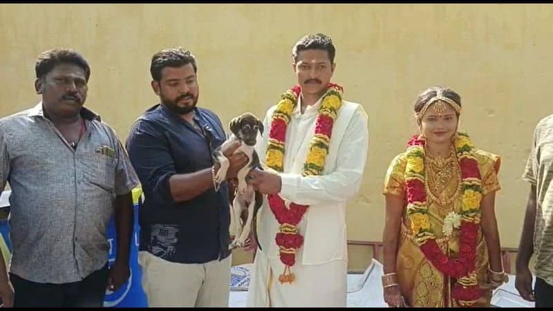 dog gifted in a marriage event in virudhunagar district