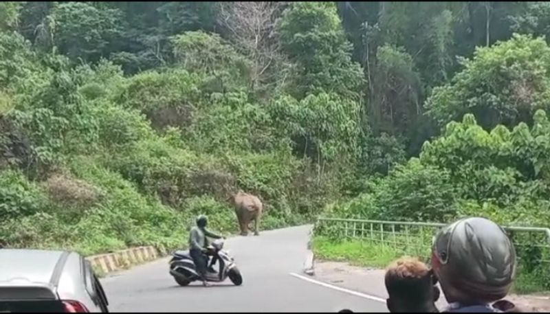 idukki forest department officials gave a strange reply to the person who called for help to get rid of the wild elephant