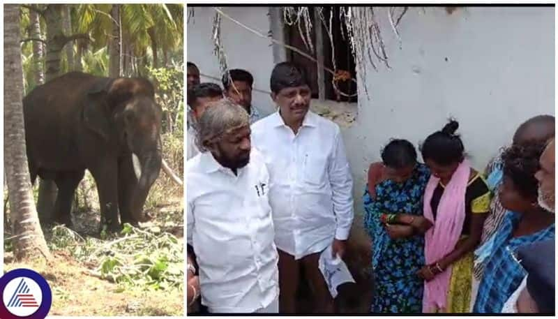 Two farmers killed an elephant attack adjacent to Bengaluru Minister Eshwar Khandre condolences sat