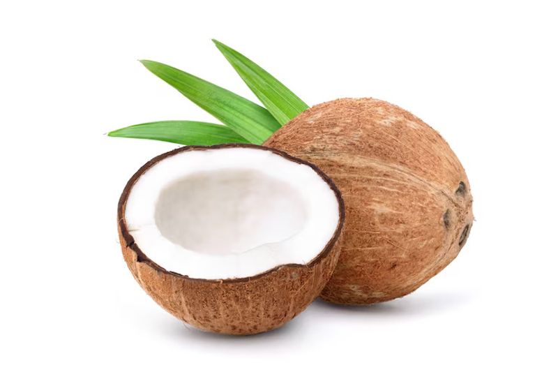 Demand of farmers to buy quality coconut snr