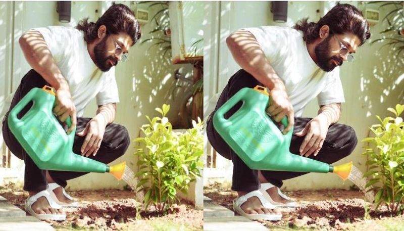 On the occasion of World Environment Day Allu Arjun watered the plant NSK