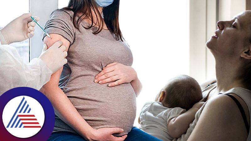 How to deal with infection during pregnancy pav 