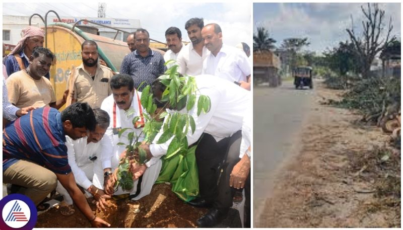 MLA HD Thammaiah inaugurated Environment Day program organized in Chikkamagaluru sat