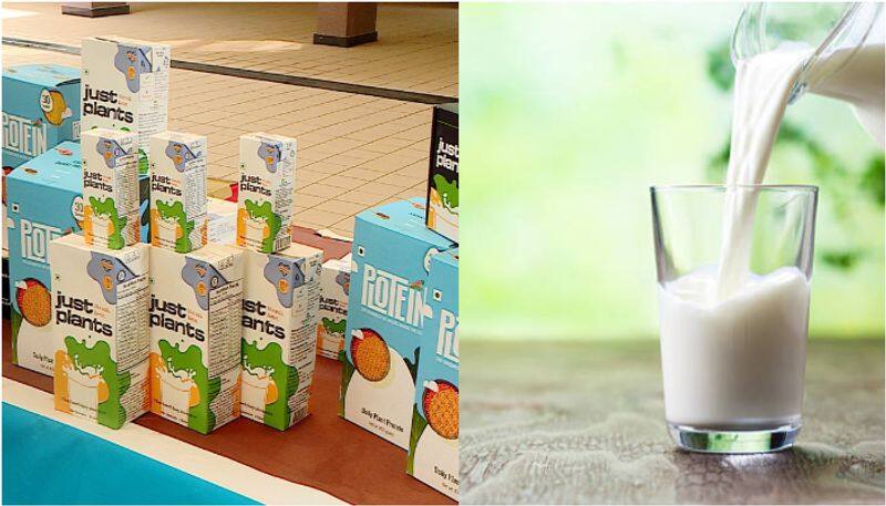 cochin company introduce vegan milk prm 