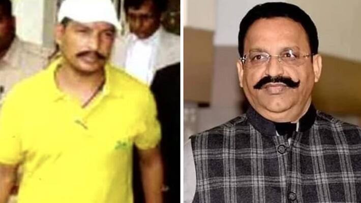 gangster sanjeev maheshwari jeeva shot dead in lucknow court 