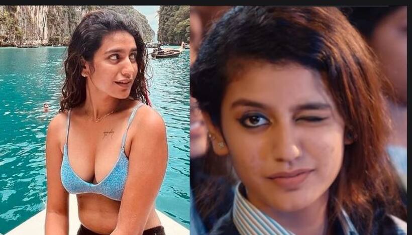 కన్నుగీటిన ఐడియా నాది, ప్రియా వారియర్ షాకింగ్ కామెంట్స్.. ఆమెకి మతిస్థిమితం లేదంటూ డైరెక్టర్ కౌంటర్ 