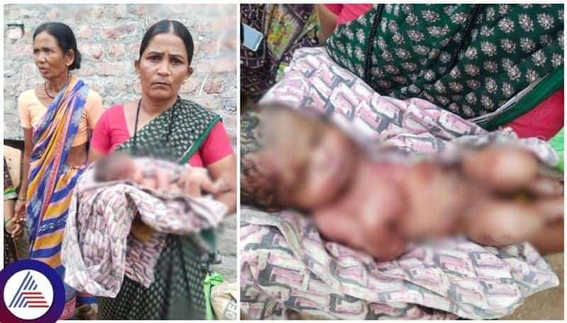 Koppal parents threw the newborn baby girl on the thorn plant fence sat