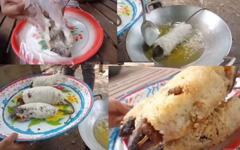 People eat Rat after deep frying it in Oil, Netizens says its disgusting Vin