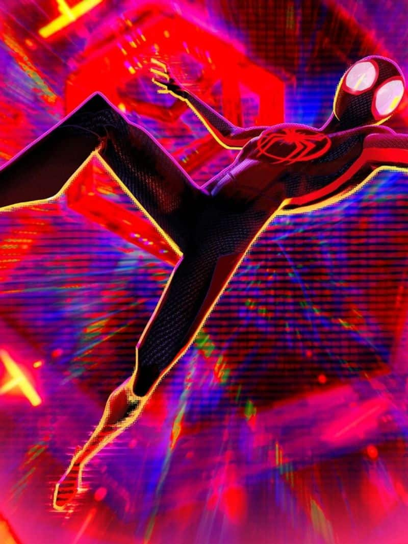 spiderman across the spider verse india box office collection nsn