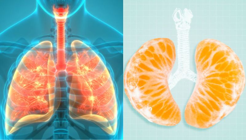 Best Foods for Lung Health azn 