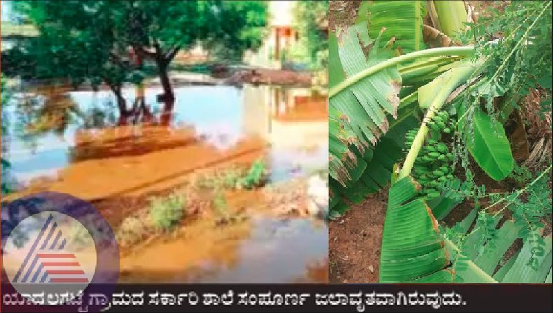 Chitradurga rains heavy rains and lightening crops loss in challakere at chitradurga rav