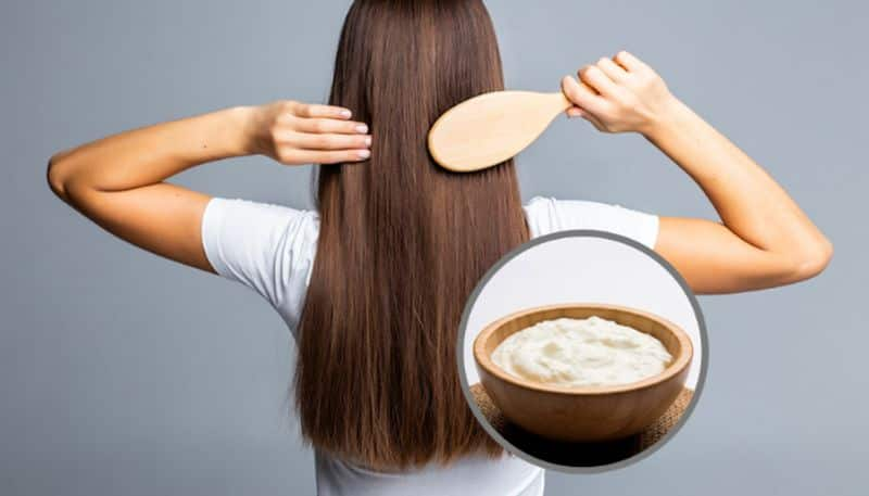 try curd for hair care azn 